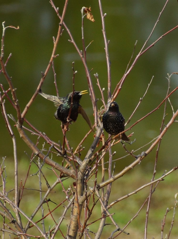Photograph by Владимир Бормотов