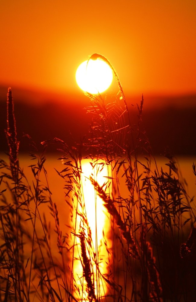 Photograph by Валерий