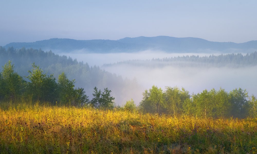 Туман в долине