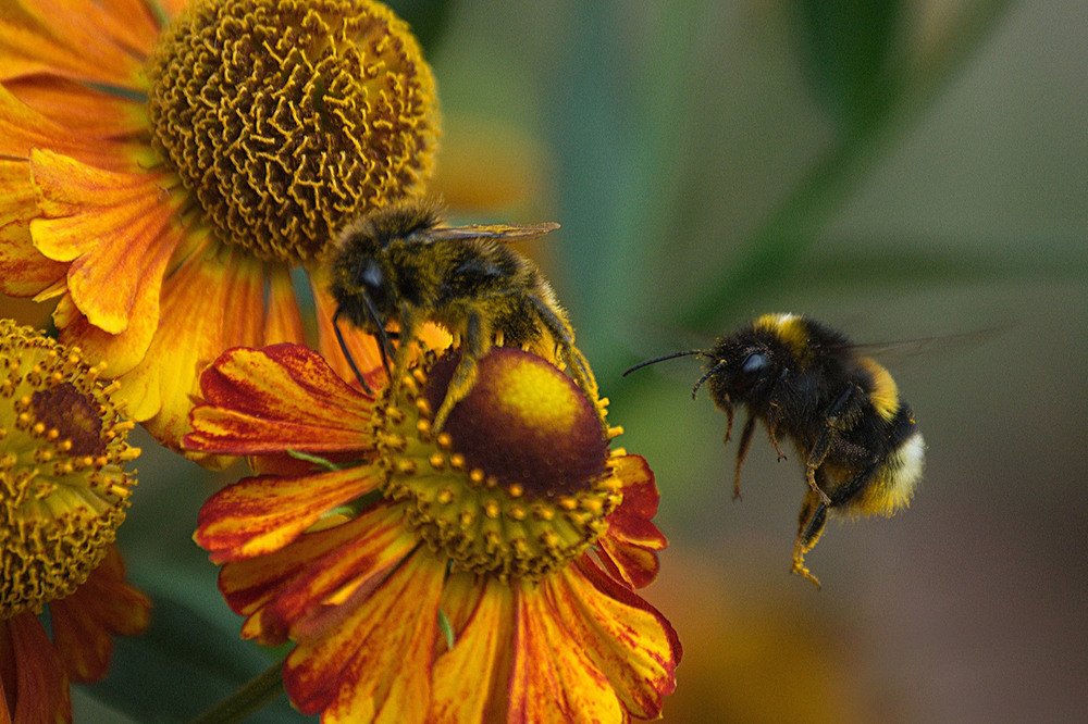 Photograph by Yroslava Veretina