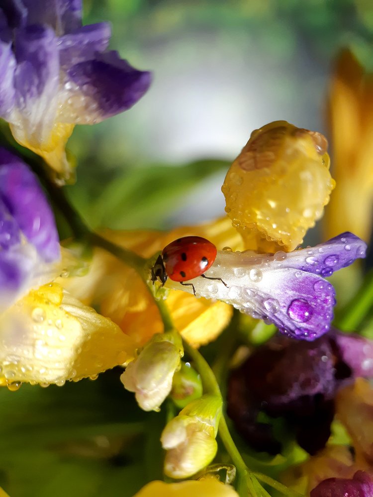 Photograph by Inessa Botasheva