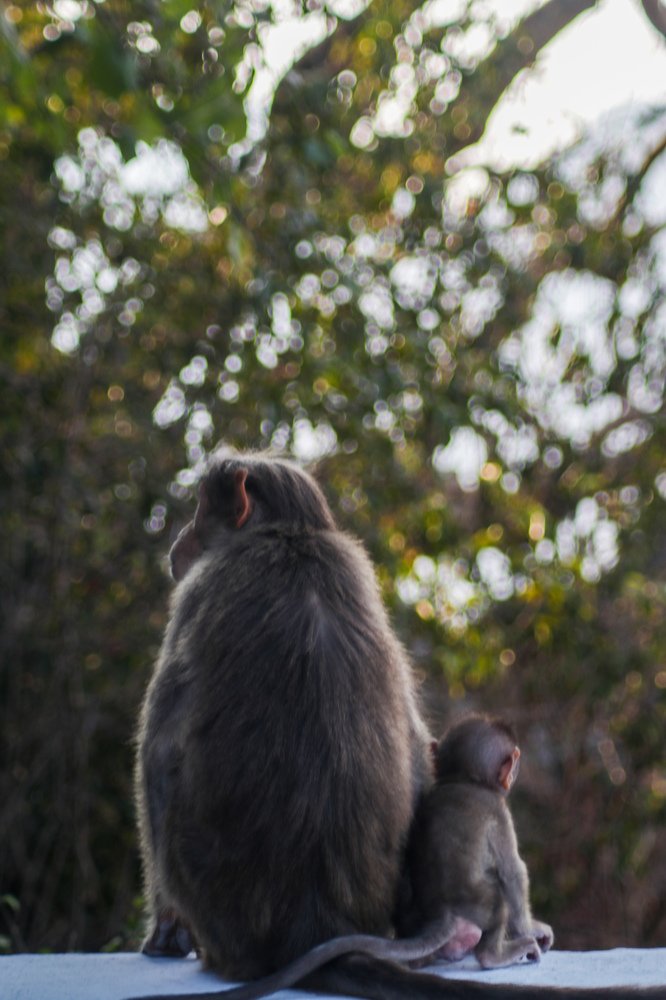 Фотография автора Anantha Rajkumar