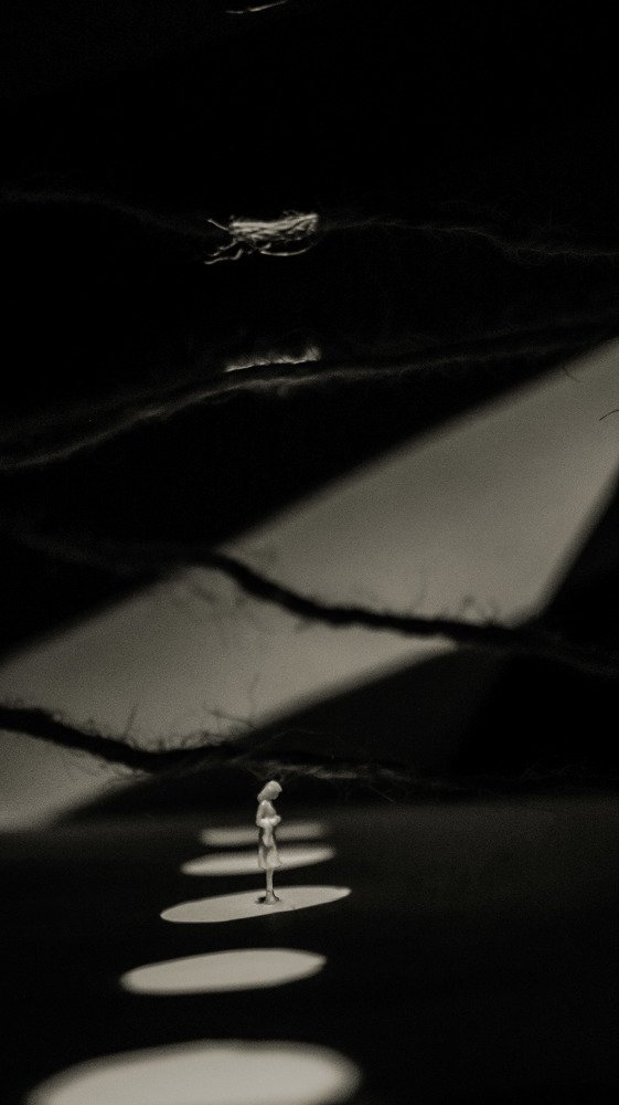 Photograph by Nastaran Mousavi