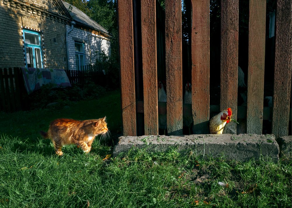 Photograph by Елена Ржевская