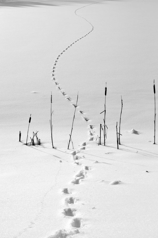 Photograph by Tatiana Kanevskaya