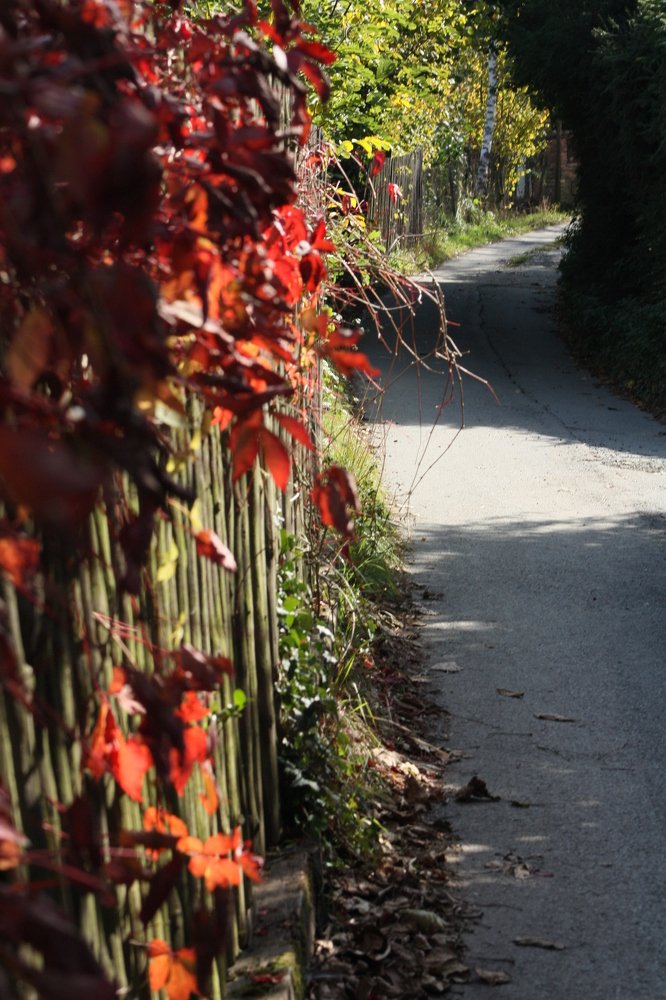 Photograph by Поддубняк Наталья