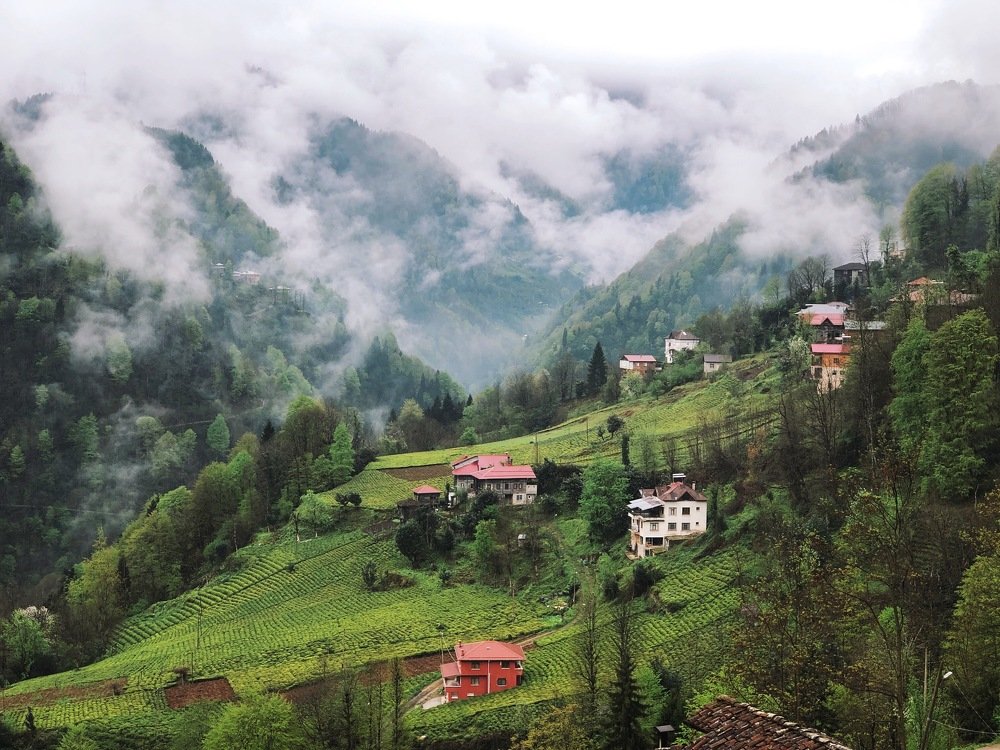 Photograph by Zarema