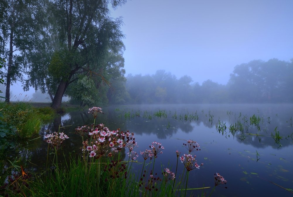 Photograph by Радик Гатауллин