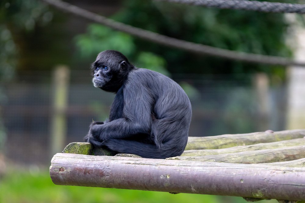 Photograph by Tatiana Gladchenko