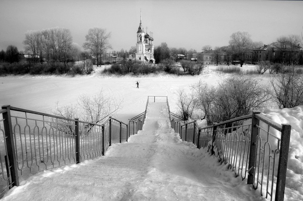 Фотография автора Дарья Васильева