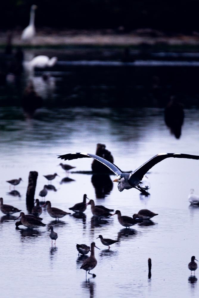 Photograph by António Vieira