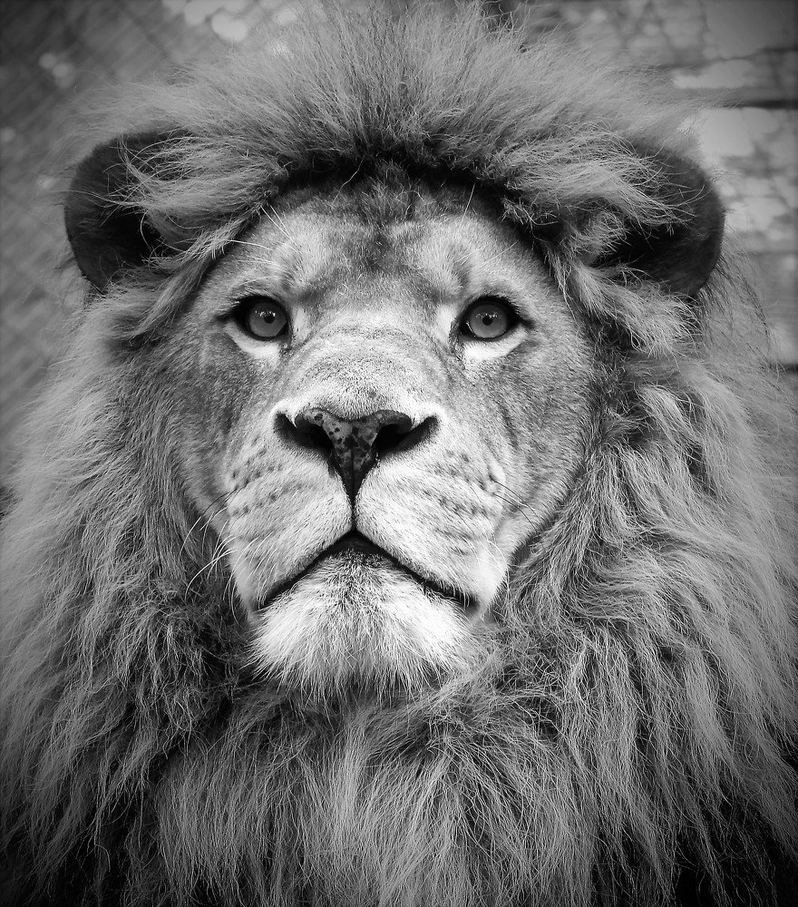 Photograph by Илалов Рустам