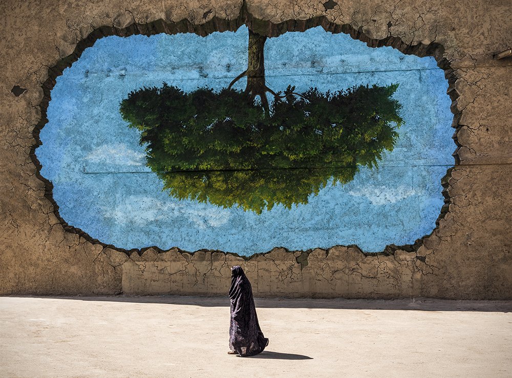 Photograph by Seyed Mohammad Mousavi Nadooshan