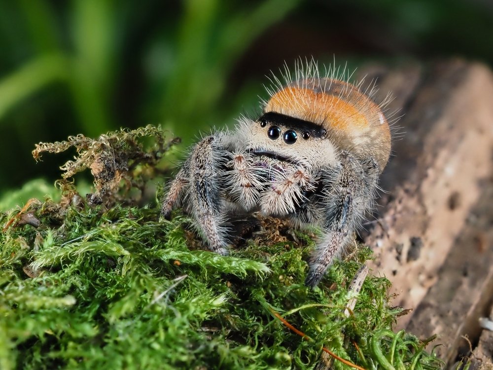 Photograph by Максим Кошелев