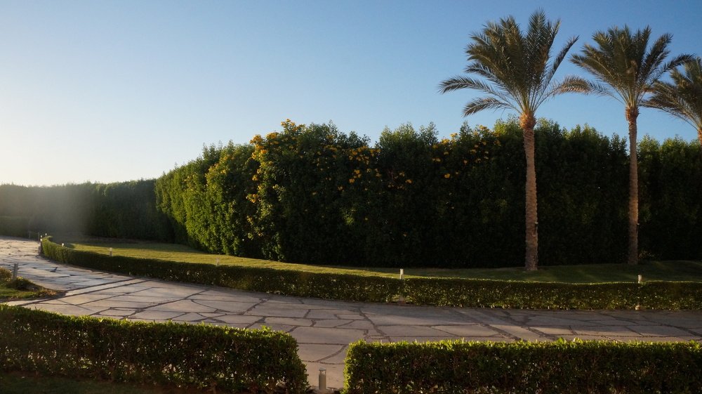 Photograph by Наталья Басова