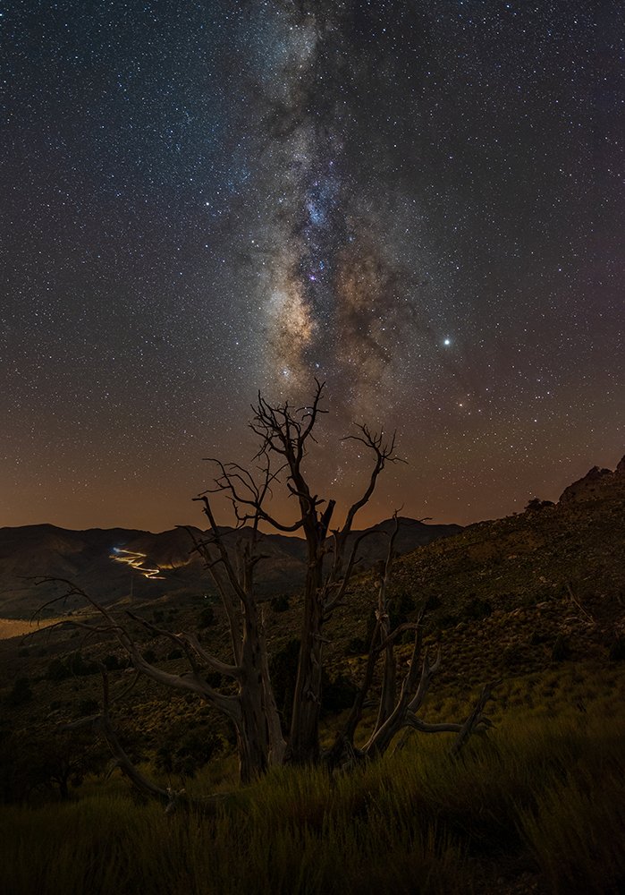 Photograph by Seyed Mohammad Mousavi Nadooshan