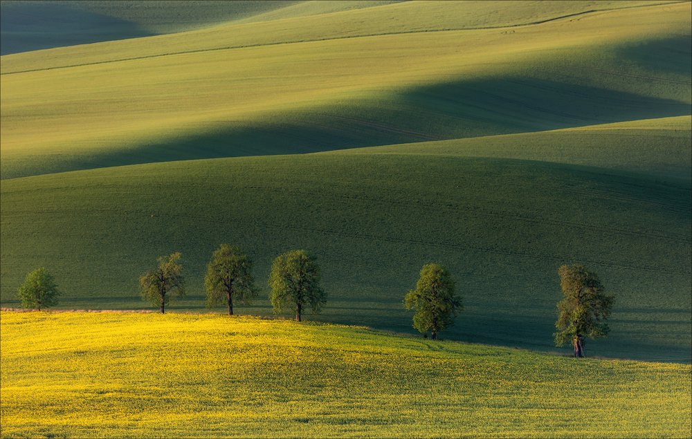 Photograph by Василий Гори