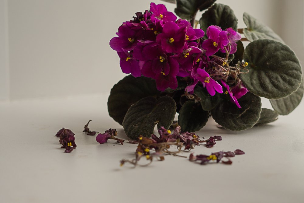 Photograph by Марина