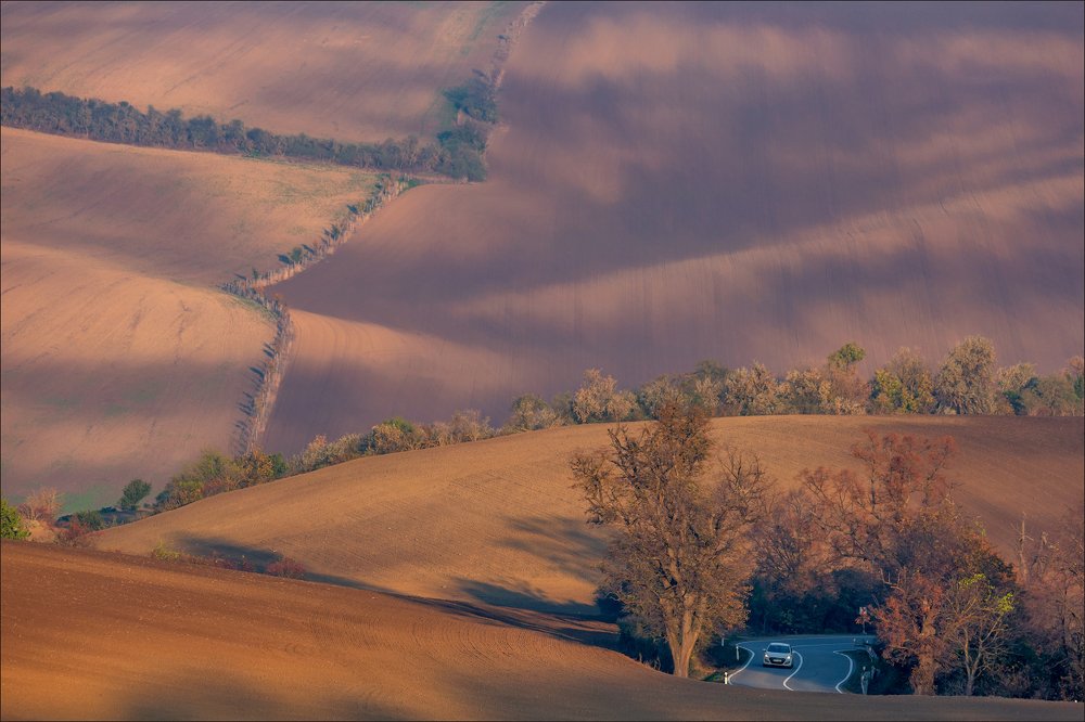 Photograph by Василий Гори