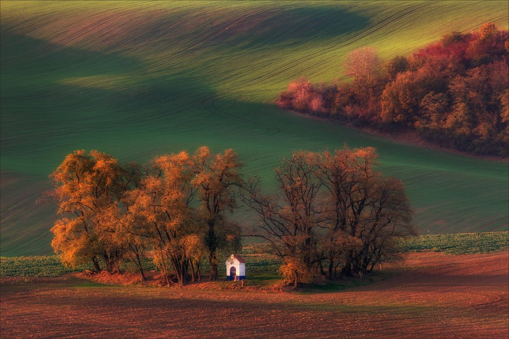 Photograph by Василий Гори