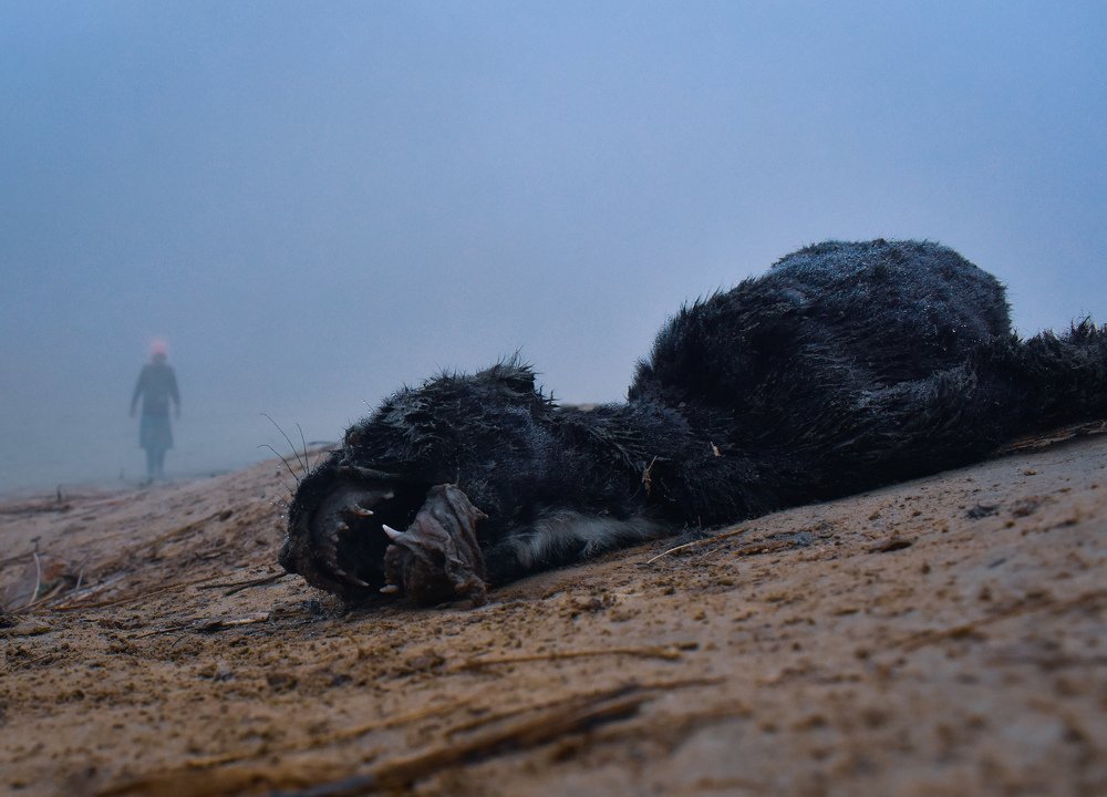 Photograph by Gupta Rahul