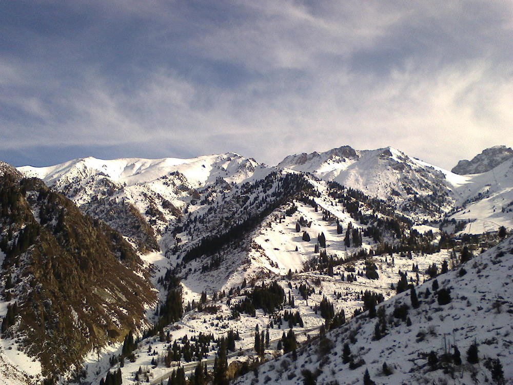 Зимний пейзаж.