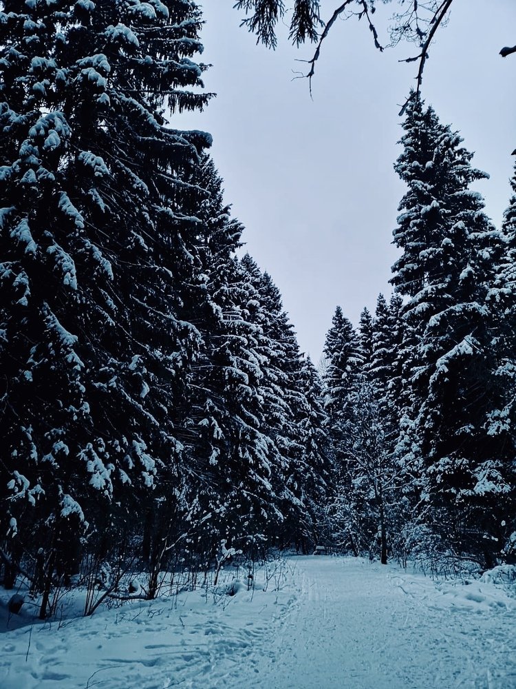 Photograph by Анастасия Козлова