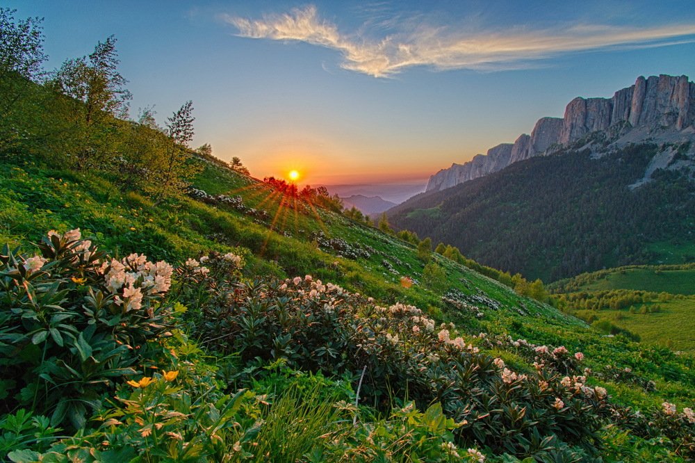 Photograph by Михаил Мюлинг