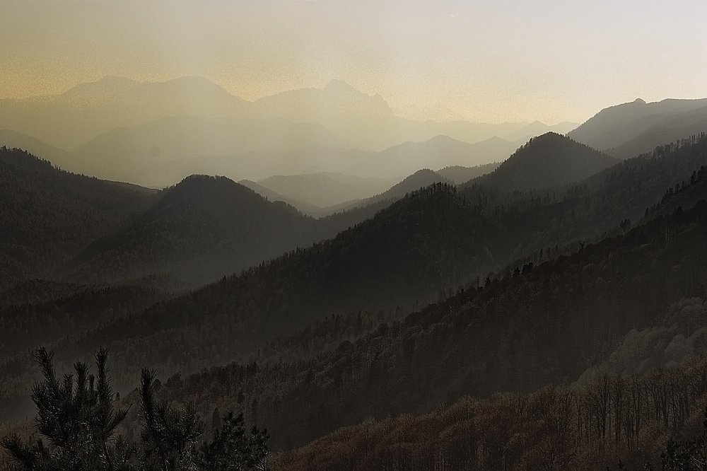 Photograph by Roman Popov