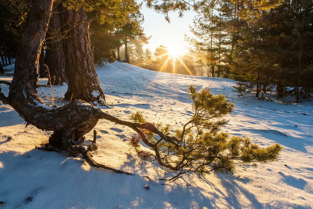 Photograph by Дммтрий Воробьев
