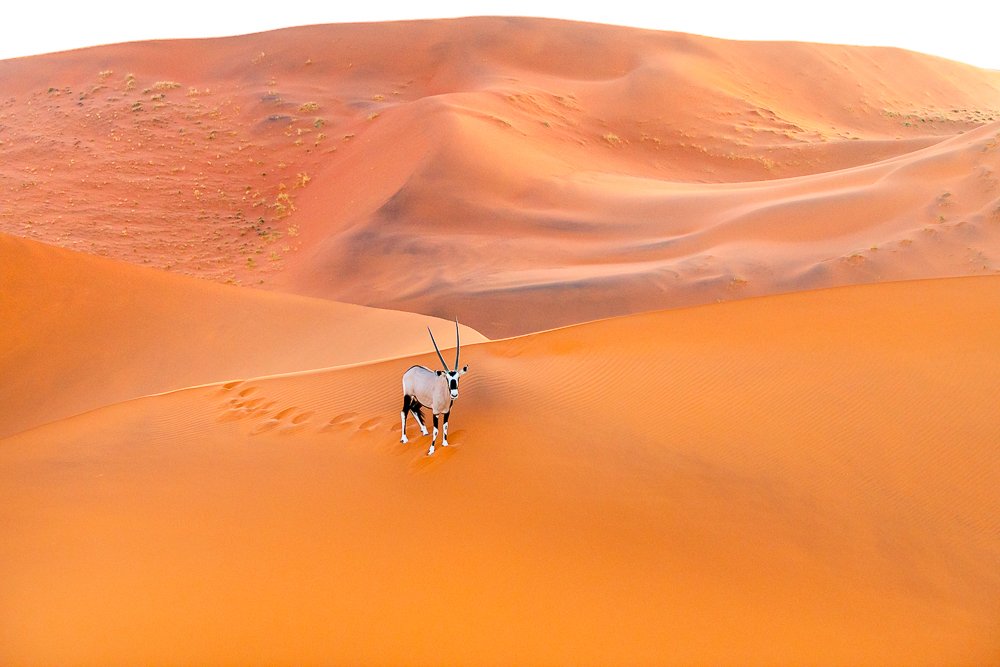 Фотография автора Thomas Vijayan