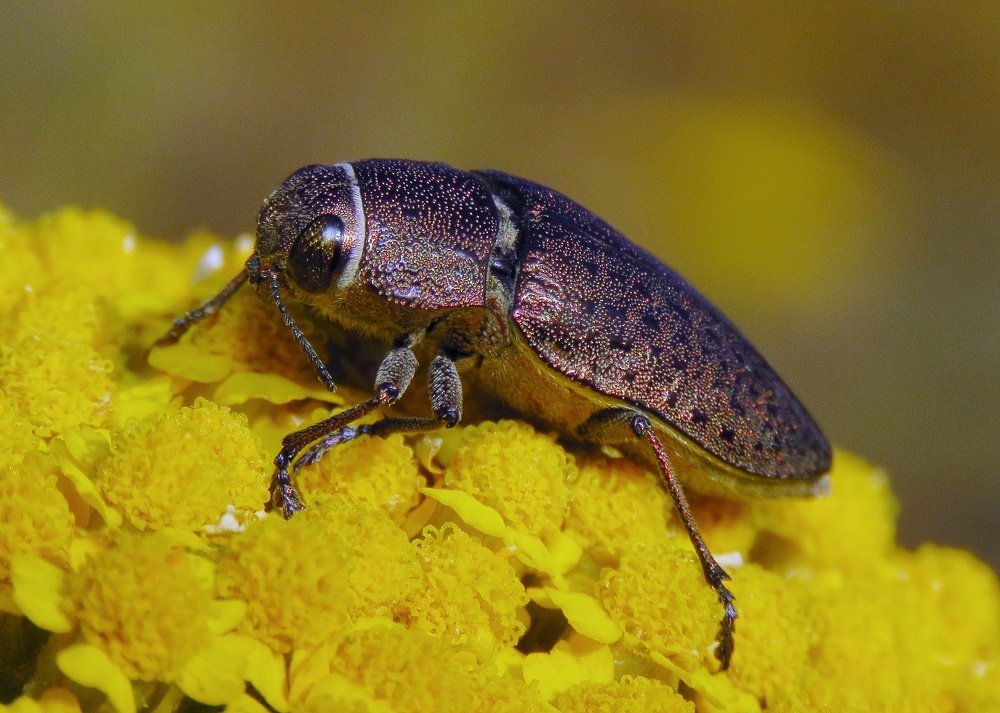 Photograph by Amin Ghaffarian