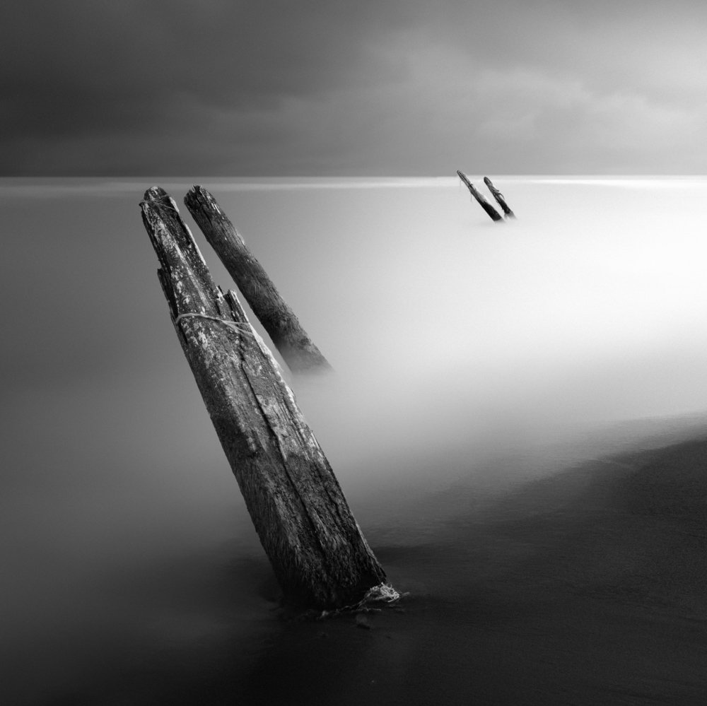 Photograph by Amirhossein Naghian