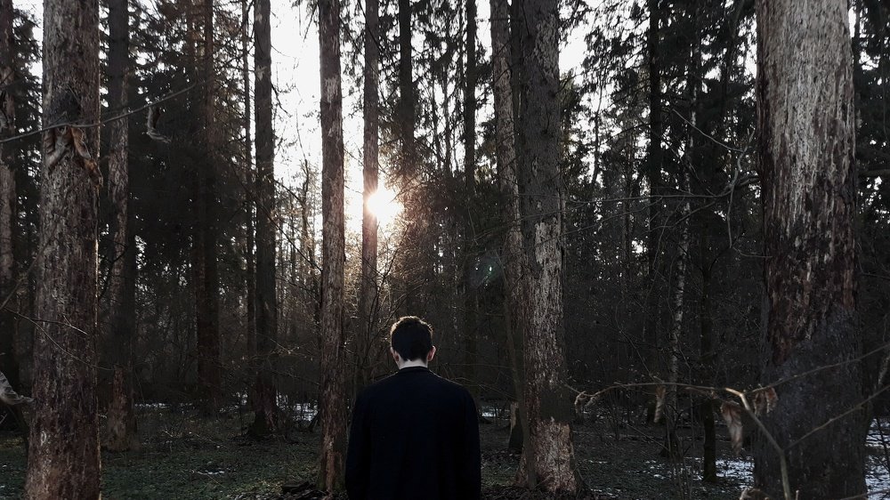 Photo #4376855
