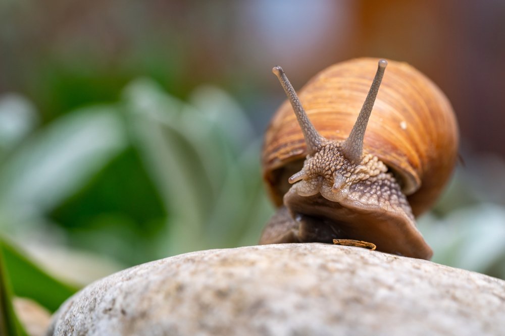 пора завтракать