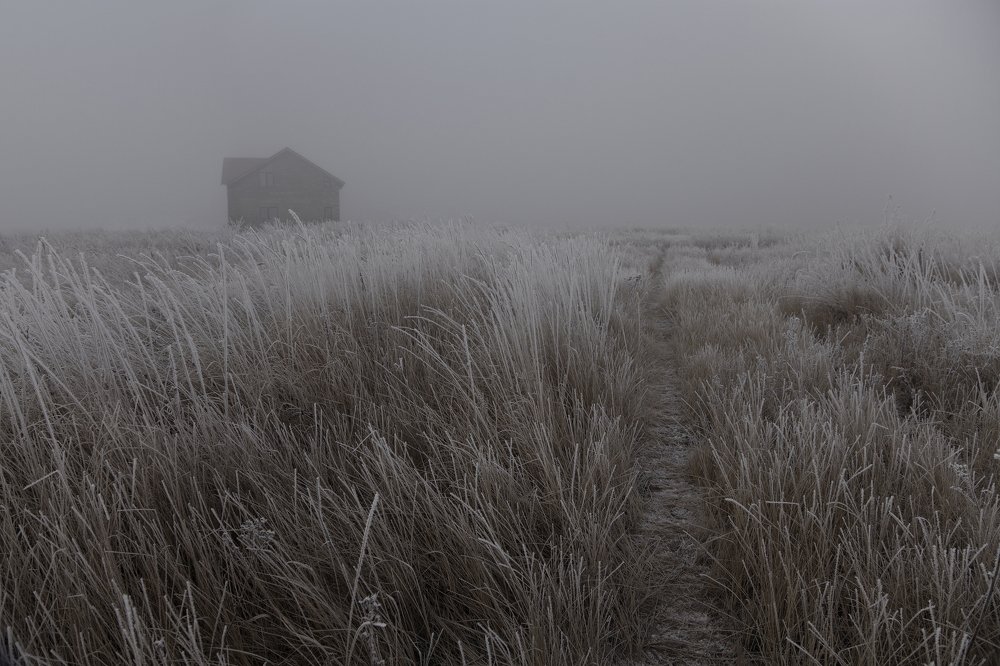 Фотография автора Виктор Кириллов