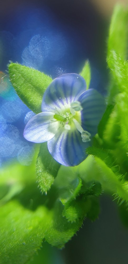 Photograph by Иван Шульдяков