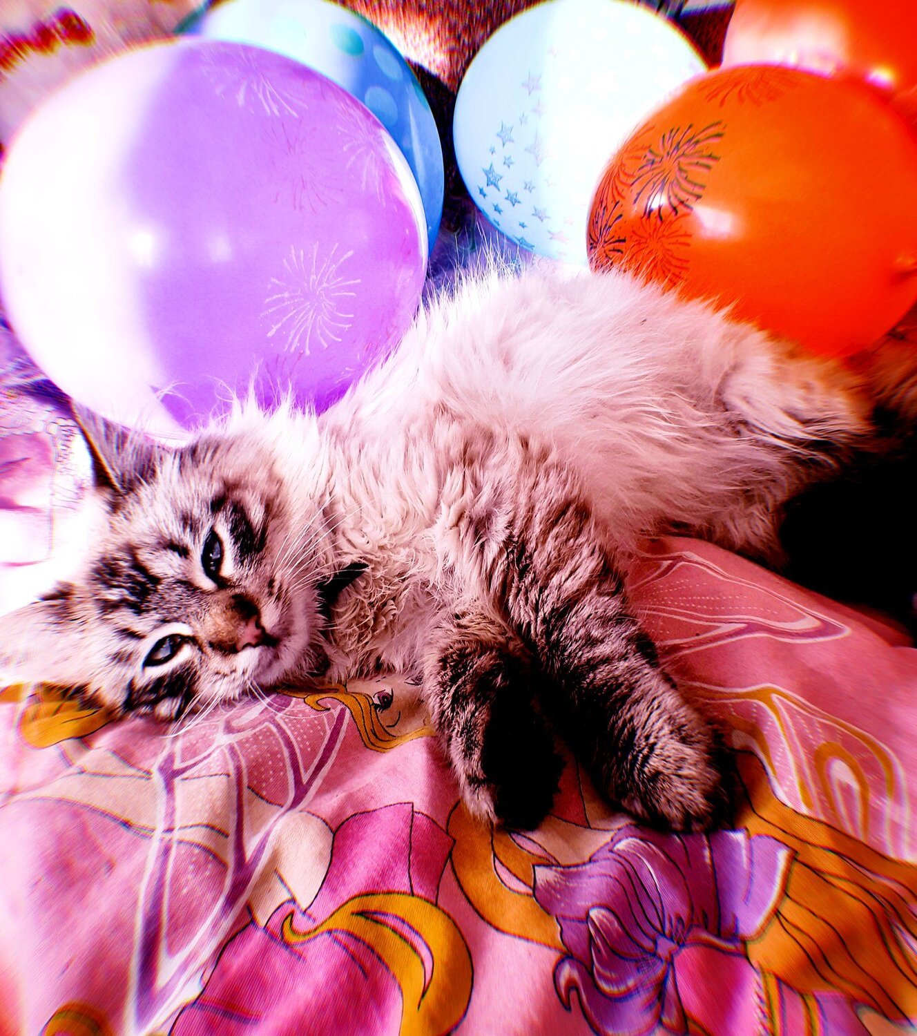 Photo #4376891
