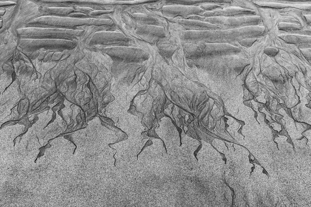 Photograph by Крицак Ольга