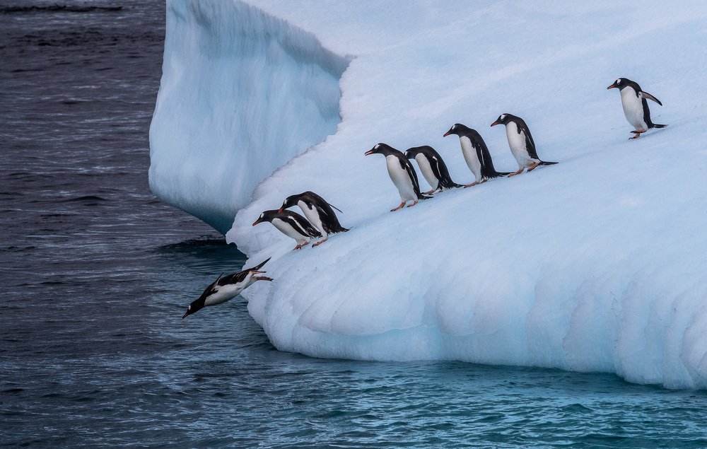 Photograph by Александр Лозицкий