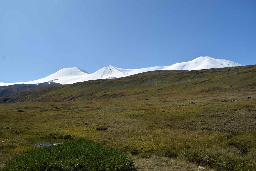 Зона покоя Укок. Горный массив Табын-Богдо-Ола