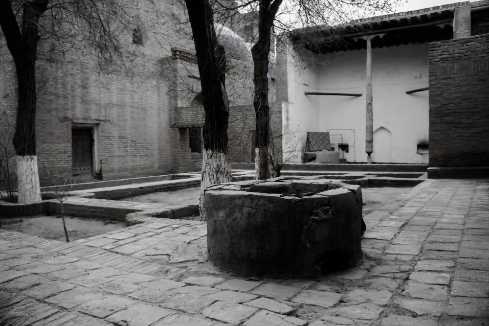 Photograph by Mary Petrova