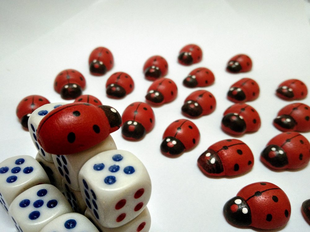 Ladybug Preacher