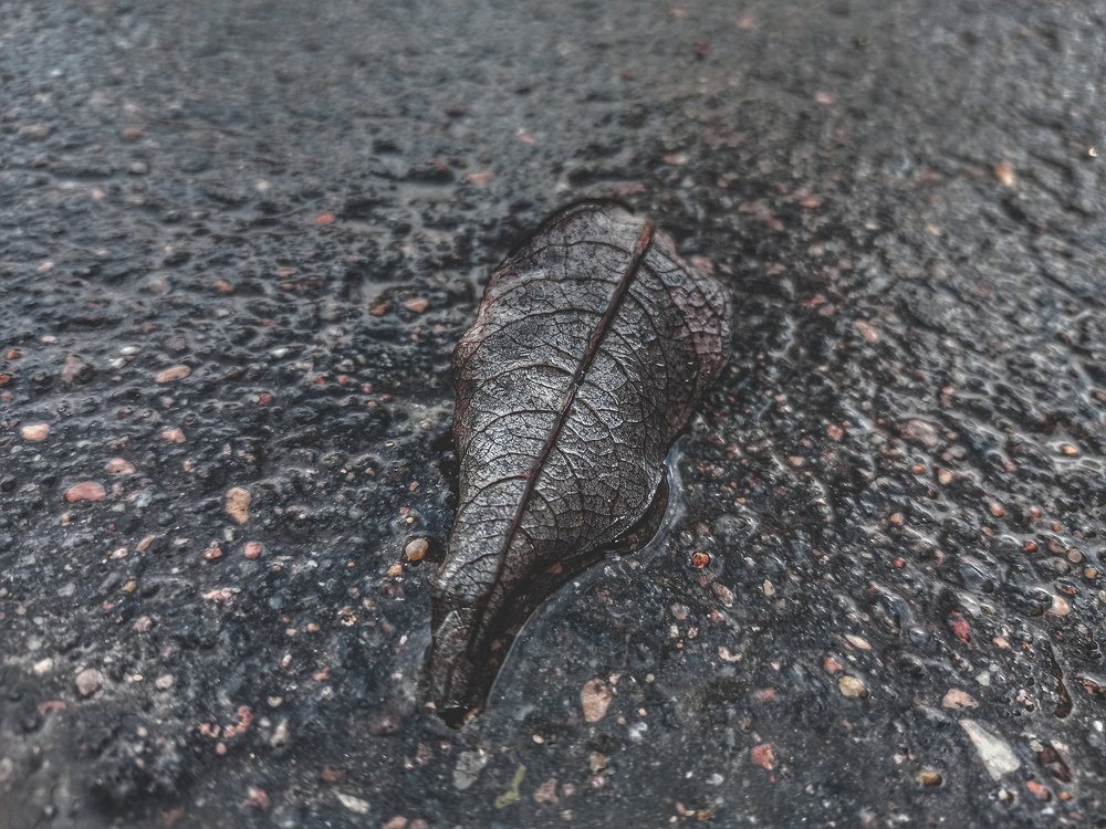 Photograph by Светлана Беспалко