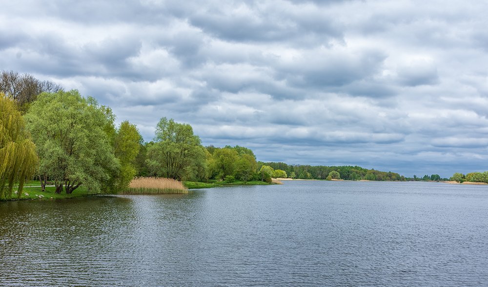 Photograph by Елена Стещенко