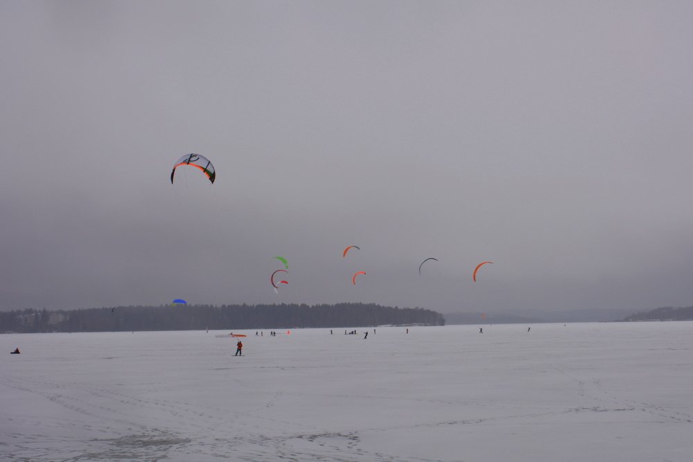 Фотография автора Елена Бракоренко