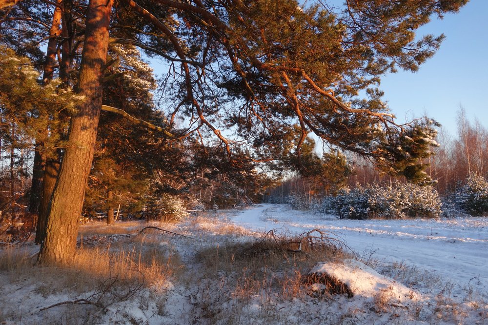 короткий зимний день