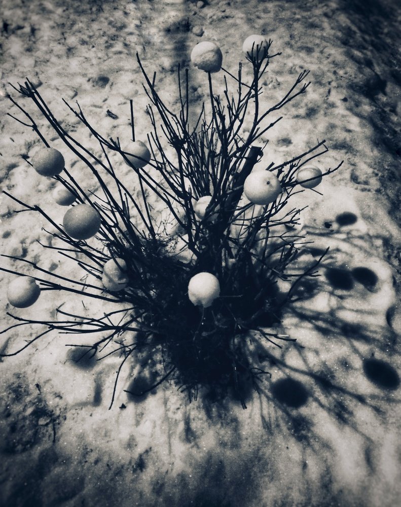 Photograph by Людмила М