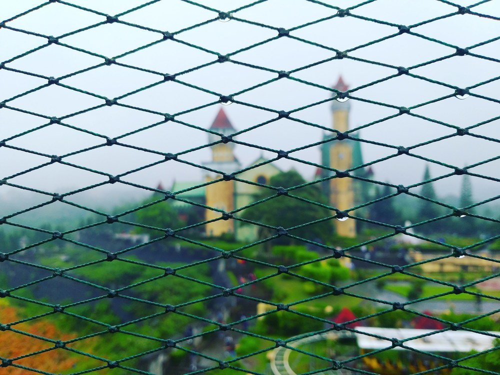 Фотография автора Francis Ian Rosario