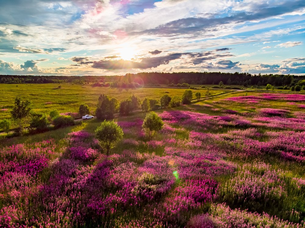 Photograph by Анна Топоркова